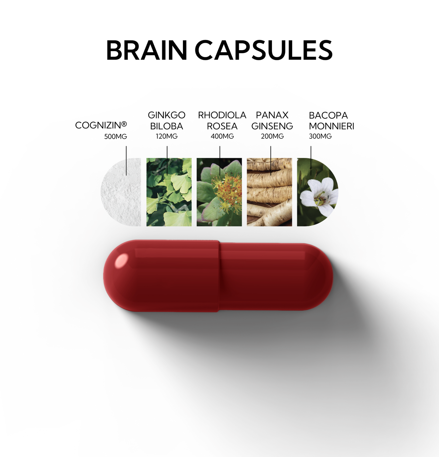 Neutonic - Brain Capsules