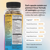 Brain Capsules [US]