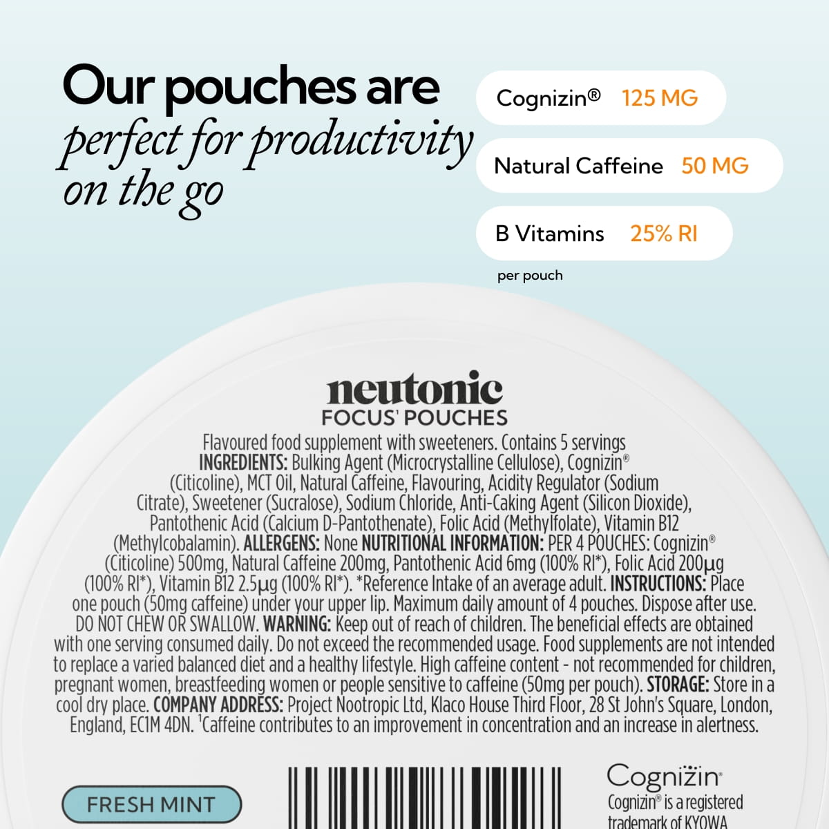 Focus Pouches - Fresh Mint