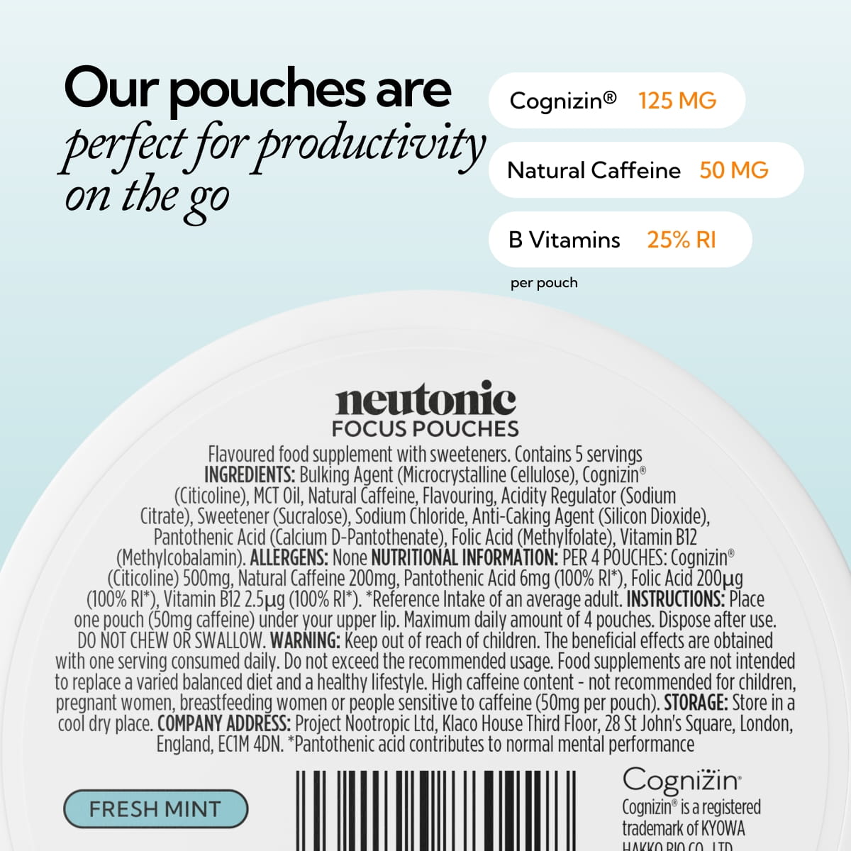 Focus Pouch Single - Fresh Mint