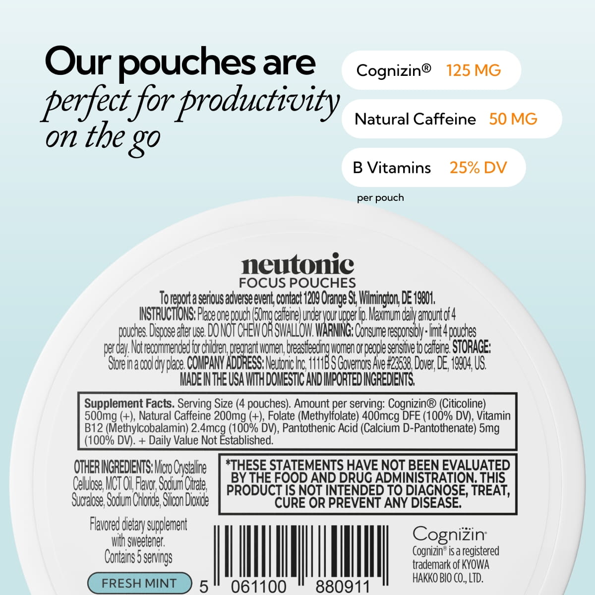 Focus Pouch Single - Fresh Mint